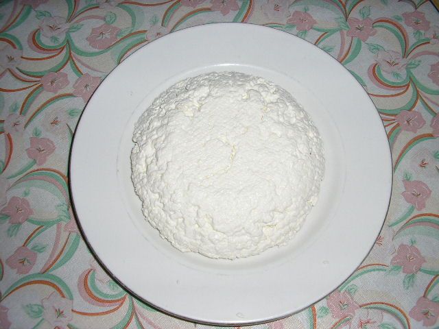Kitchen Laboratory: Proteins and Cheese Making