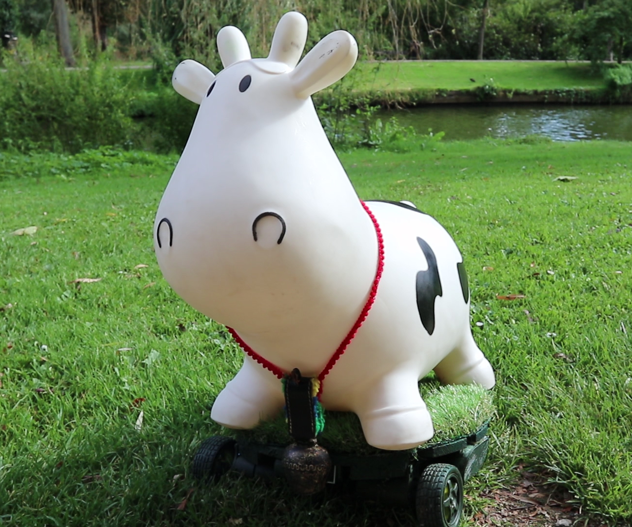 Mooomba - the Cow Roomba