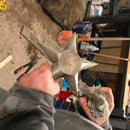 The Making of a Star