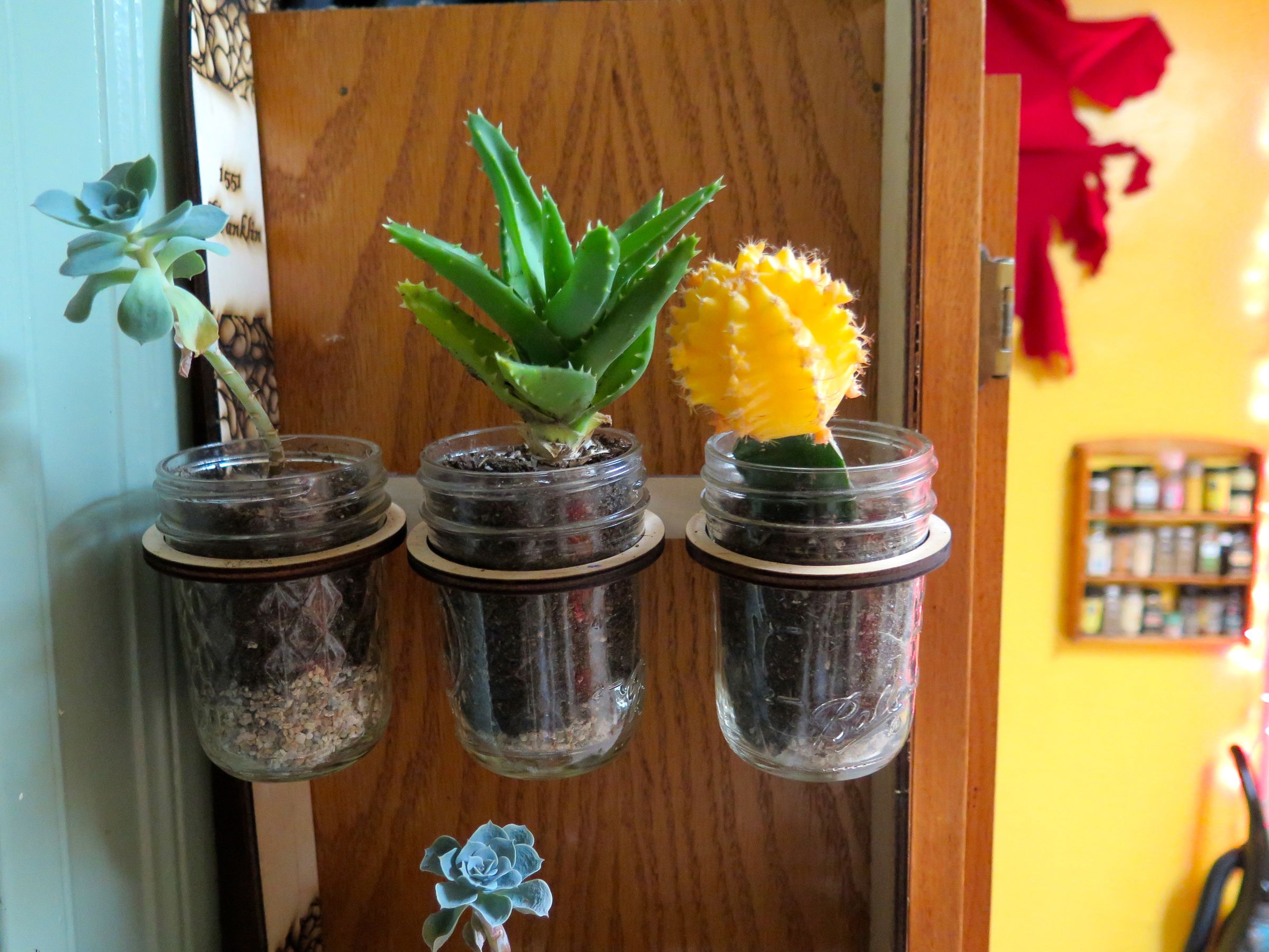 Hanging Mason Jar Gardens (with Pictures) Instructables