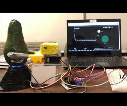 AvoRipe - Checking If Your Avocado Is Ripe