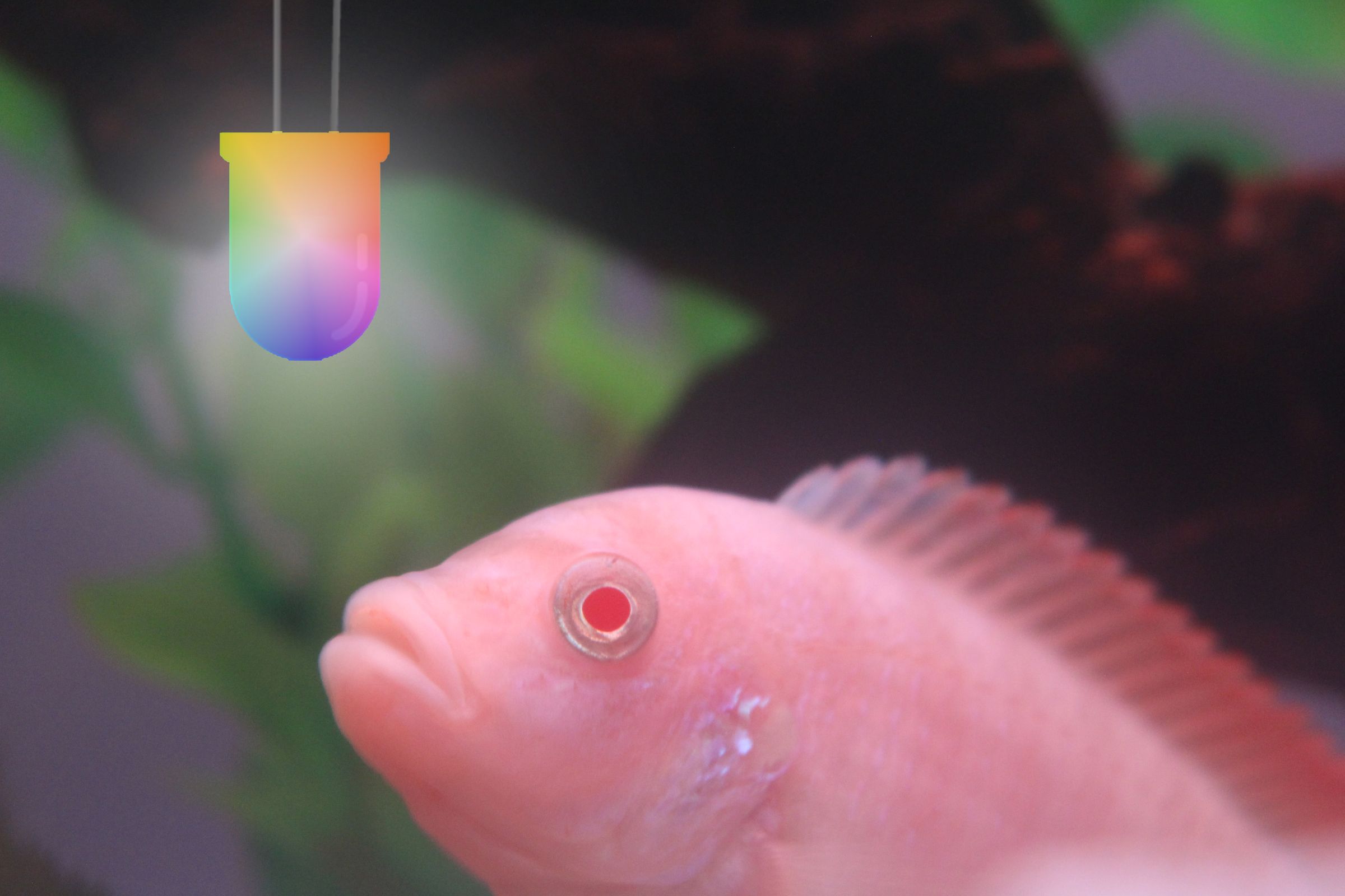 Automated Aquarium Lighting System 6 Steps Instructables