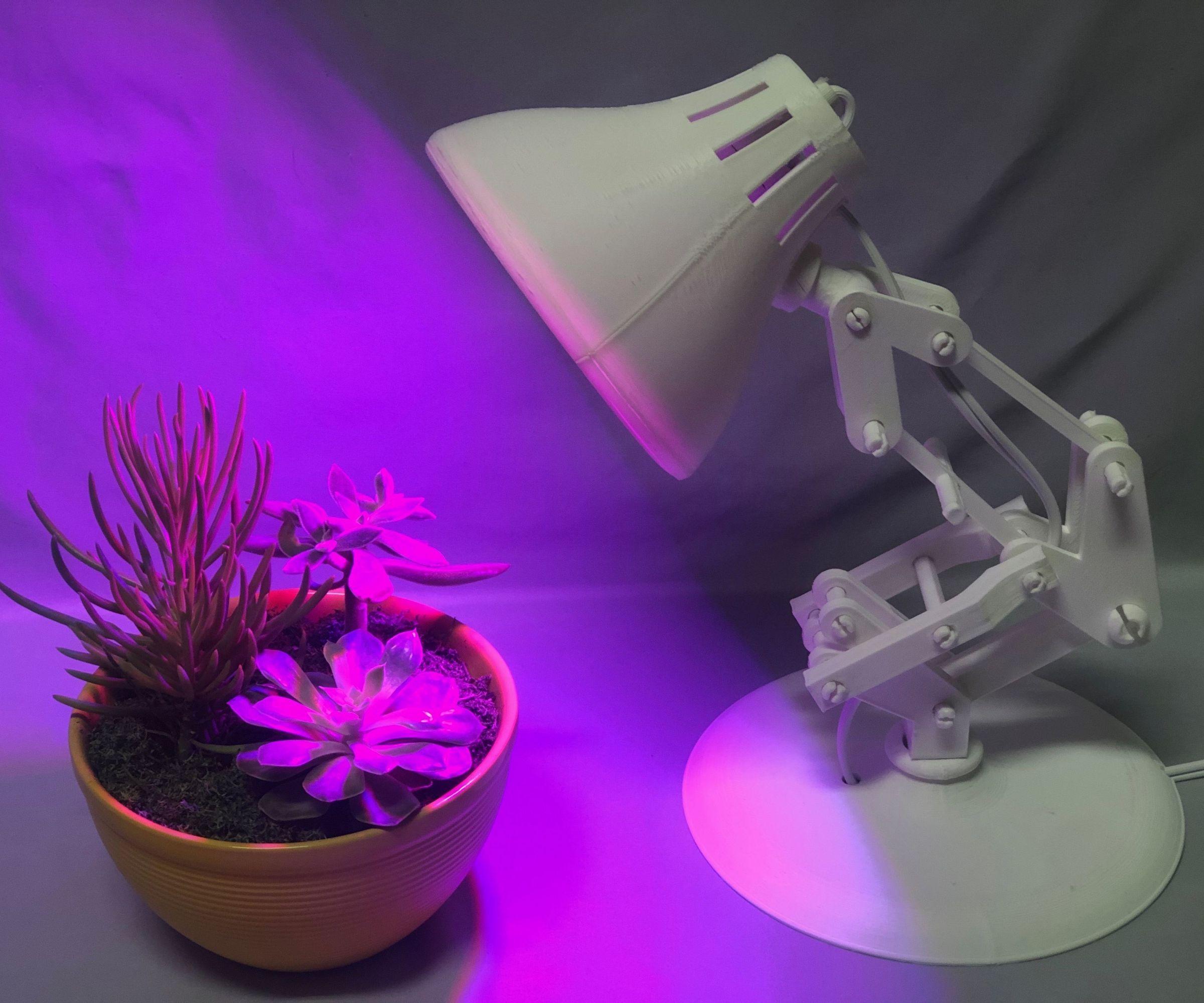 Pixar Plant Lamp