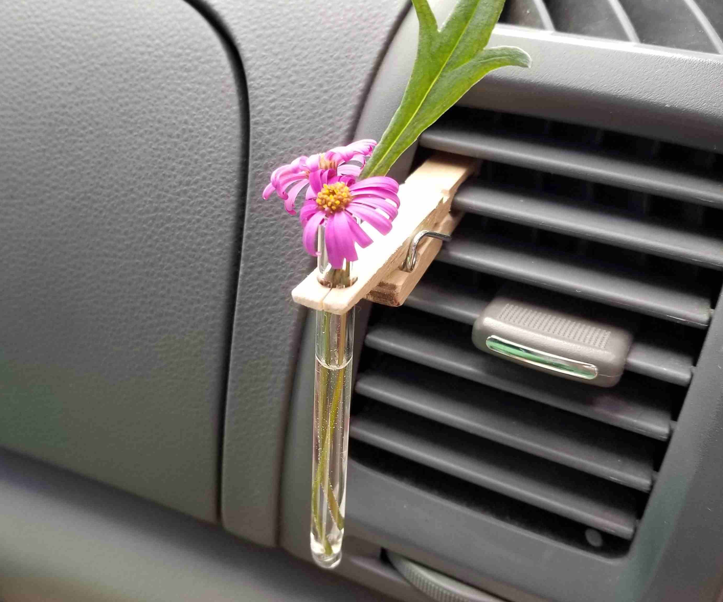Portable Flower Power