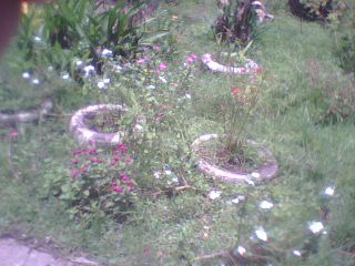 Save Tires and Make a Garden !