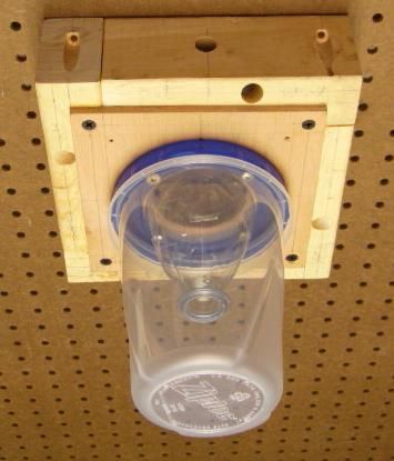 Carpenter Bee Trap, Large Version