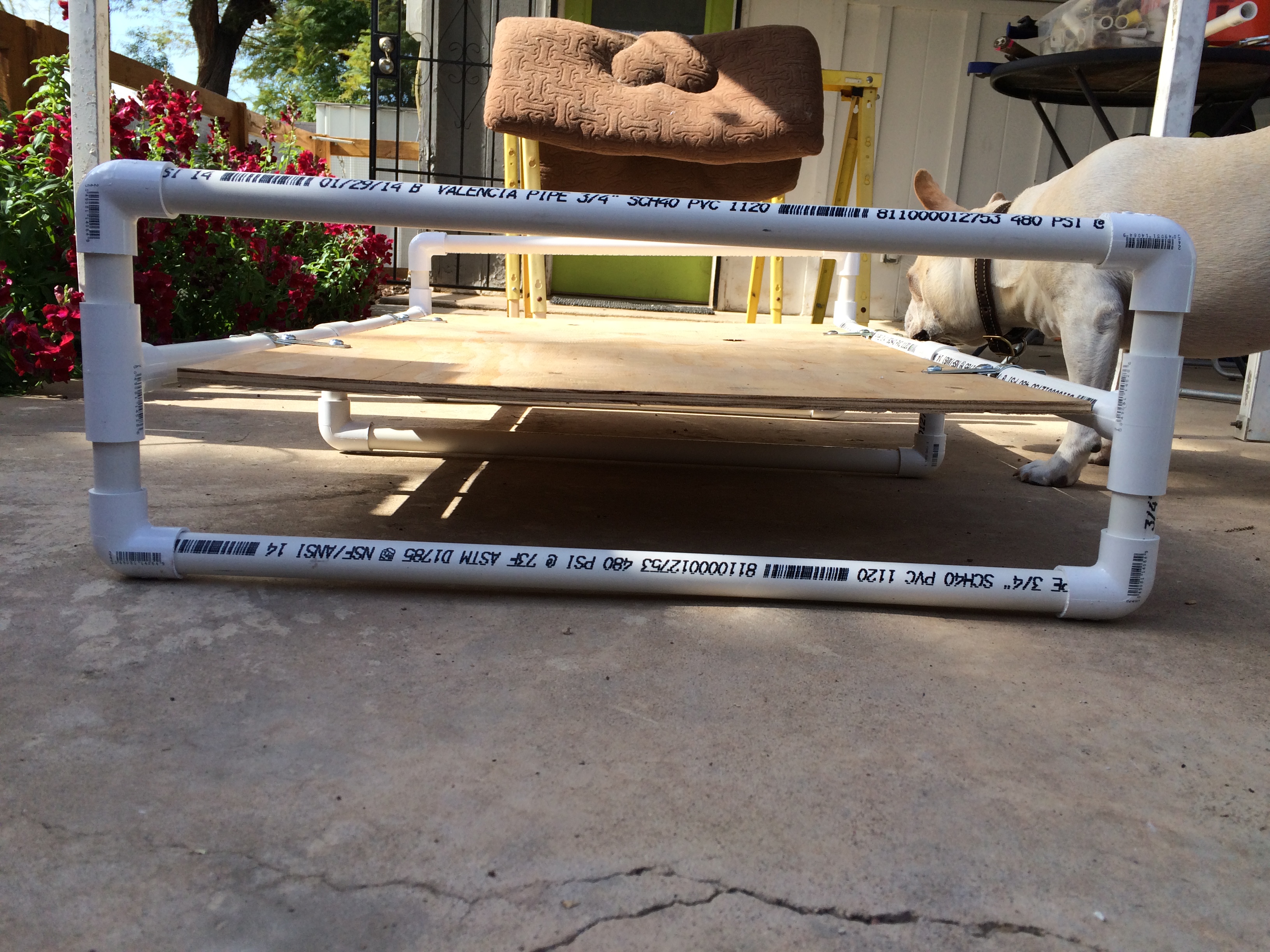 PVC Pipe Raised Dog Bed 7 Steps (with Pictures) Instructables