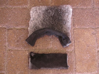 Ankle Warmer