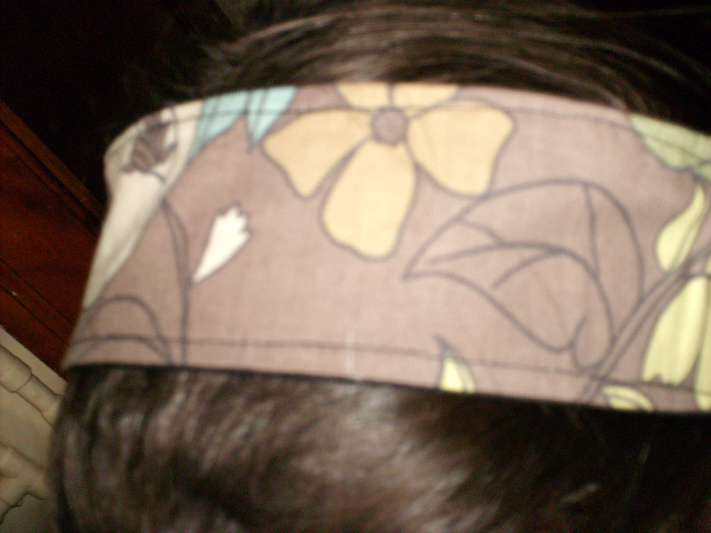 Hiding Headband