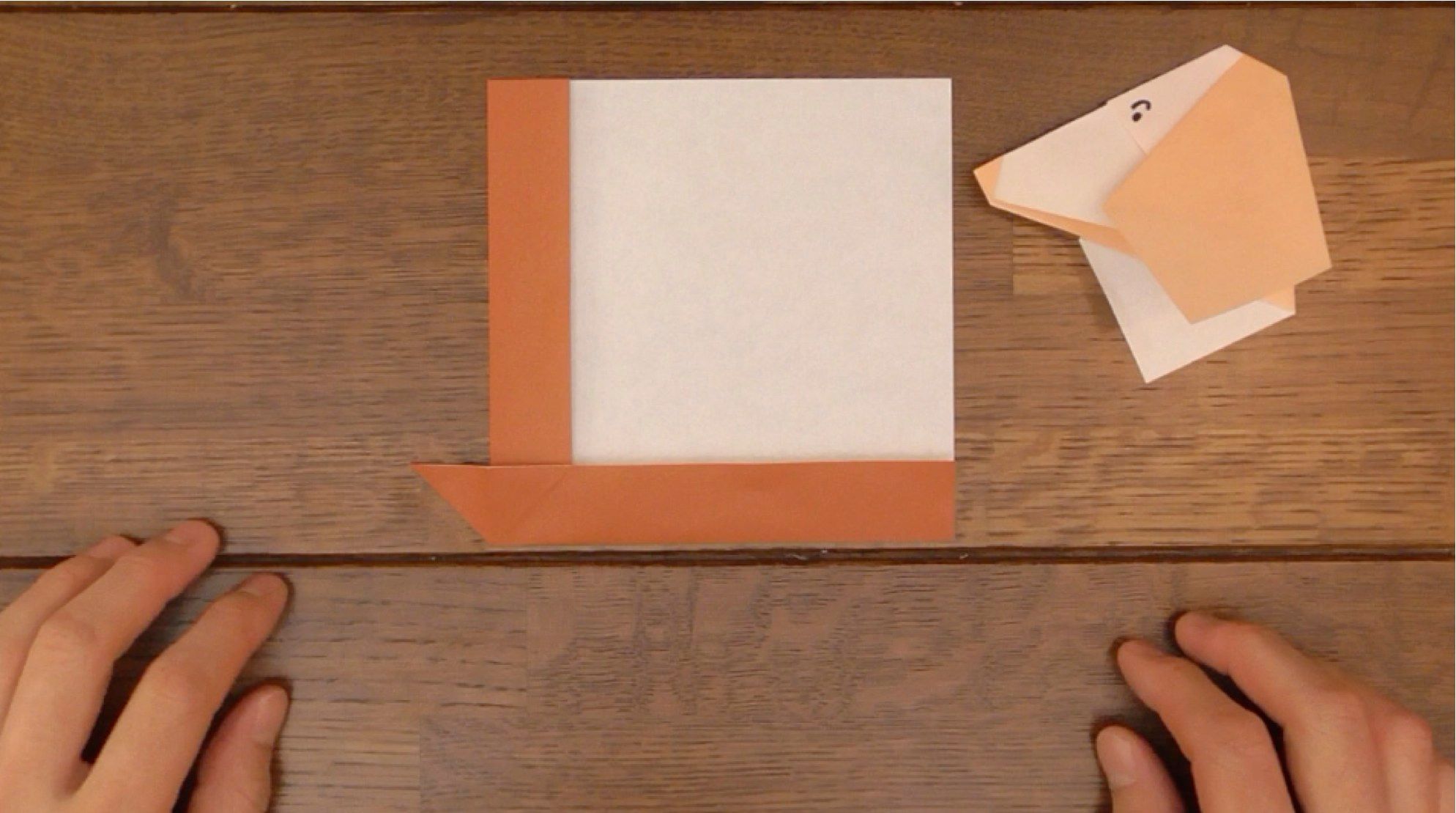 How to Make Head Nod in Dogs! 15 Steps (with Pictures) Instructables
