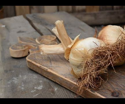 Carved Garlic Holder