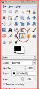 Colorize Black & White Photos in GIMP : 6 Steps - Instructables