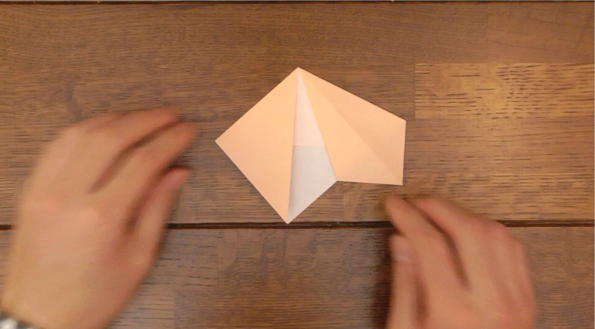 How to Make Head Nod in Dogs! 15 Steps (with Pictures) Instructables