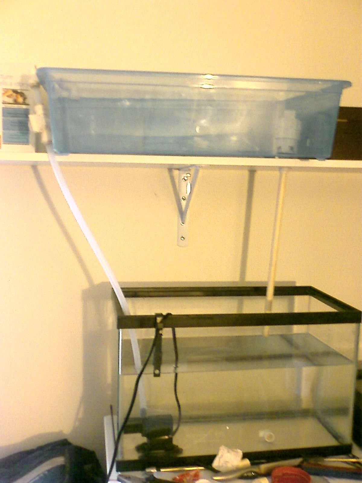 Aquaponics (Growing Plants With Fish Poo)