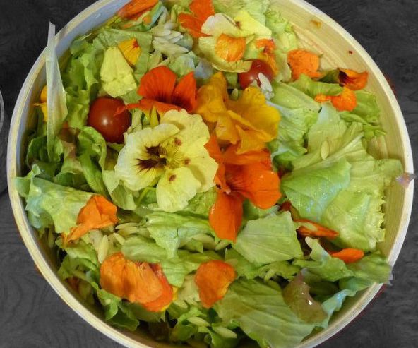 Orzo and Nasturtium Salad