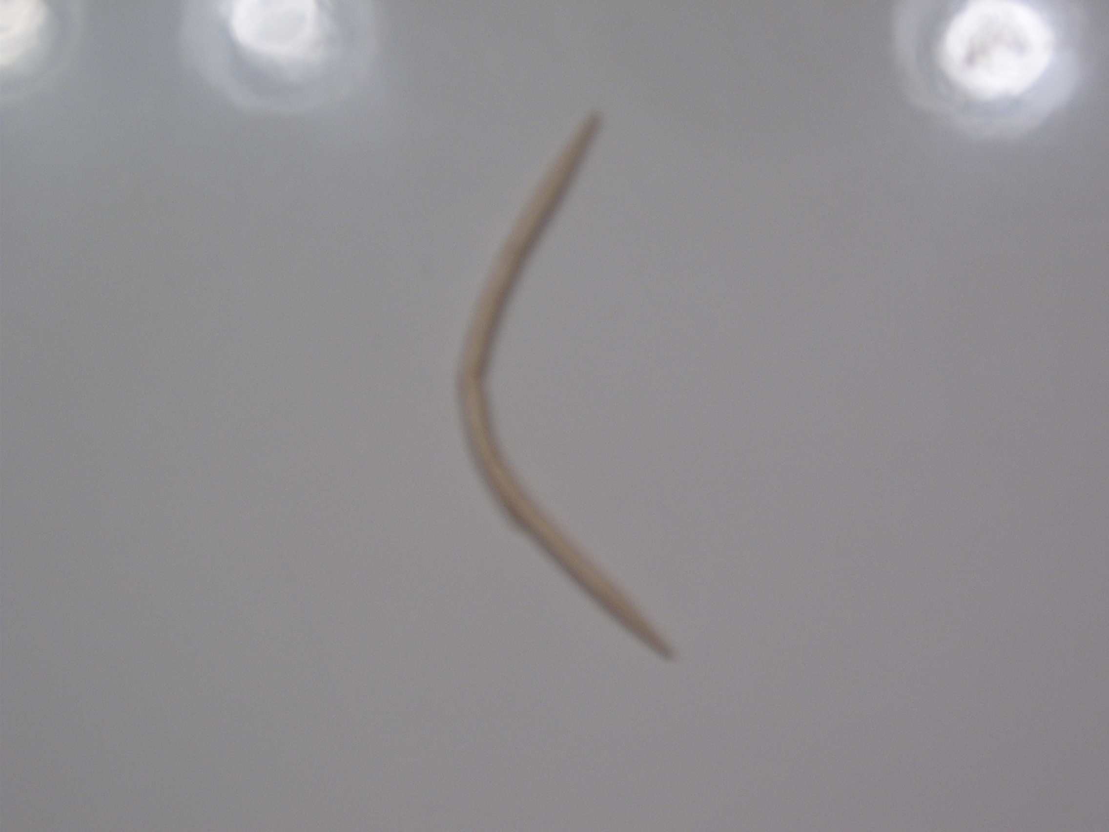 Toothpick Bow and Arrow 4 Steps Instructables