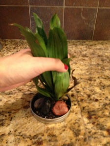 Lightly Grip Leaves Together.
