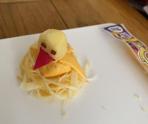 Cheese Bird in a Nest