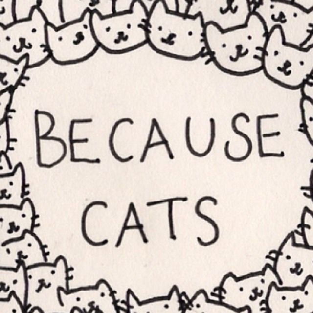 -becausecats