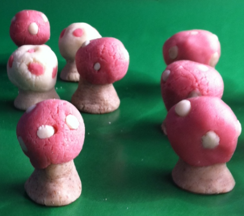 EDIBLE ORNATE MUSHROOMS REVEALED