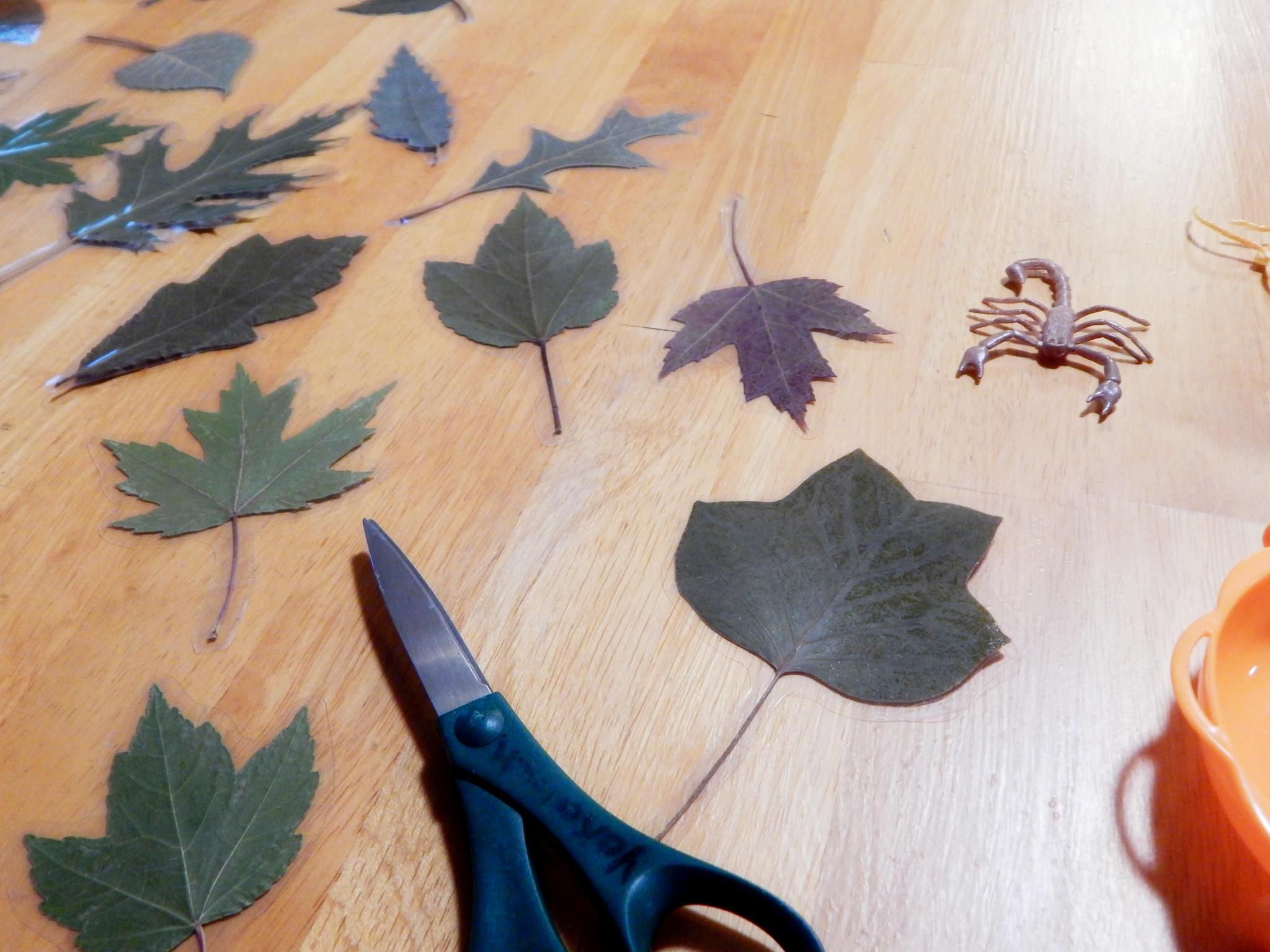 DIY Laminated Leaf Bookmarks 4 Steps (with Pictures) Instructables
