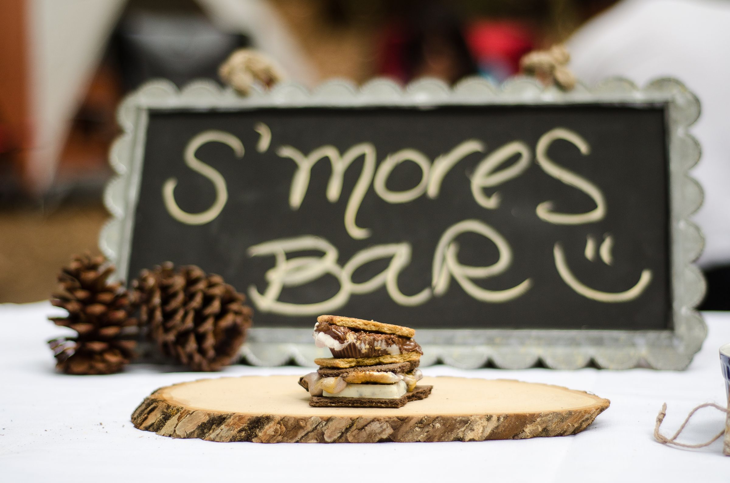 S'mores Bar Party