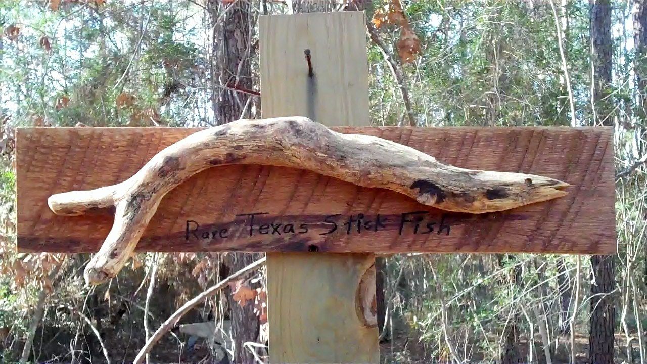 How to Make a Rare Stick Fish