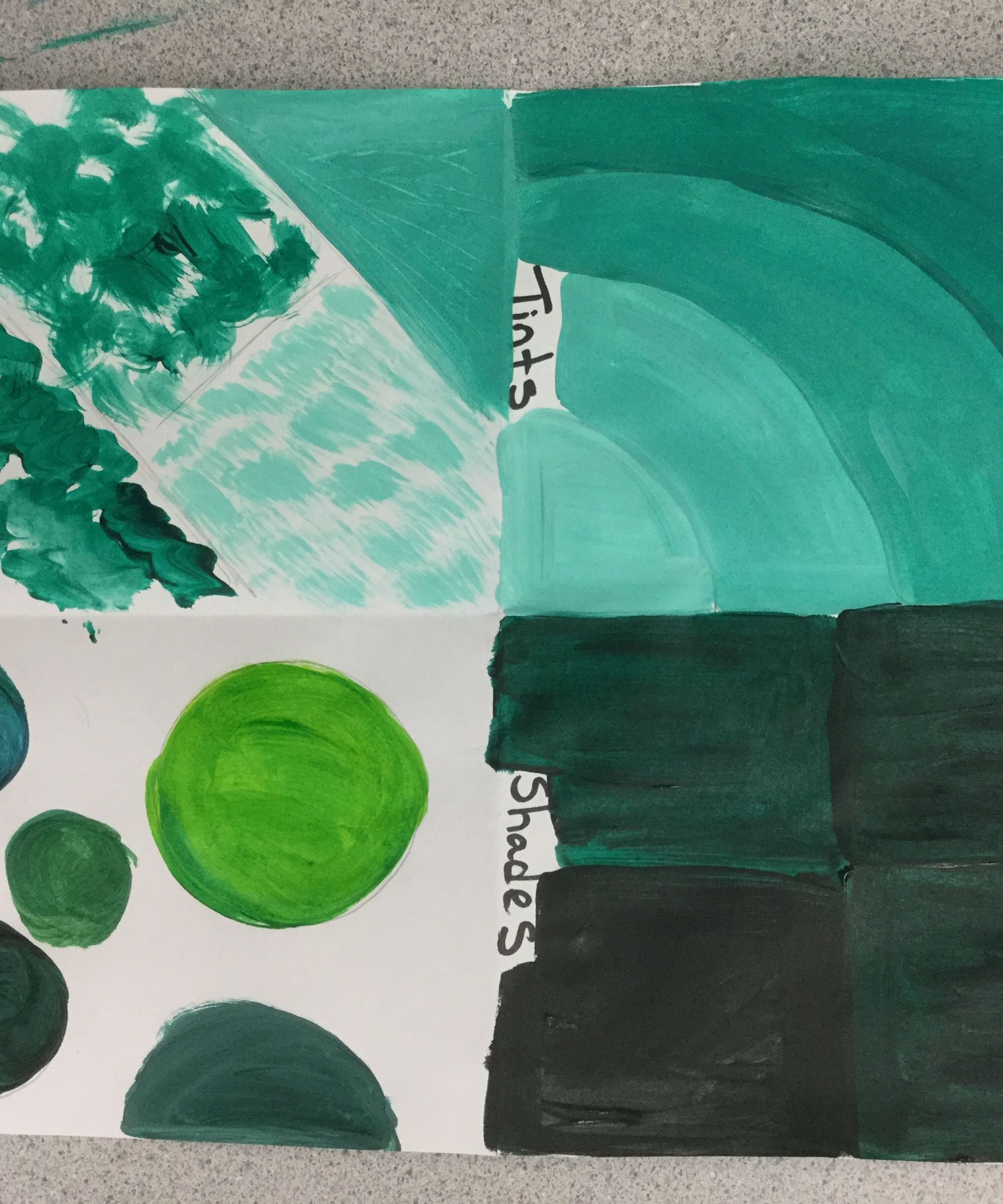 Acrylic Paint Practice