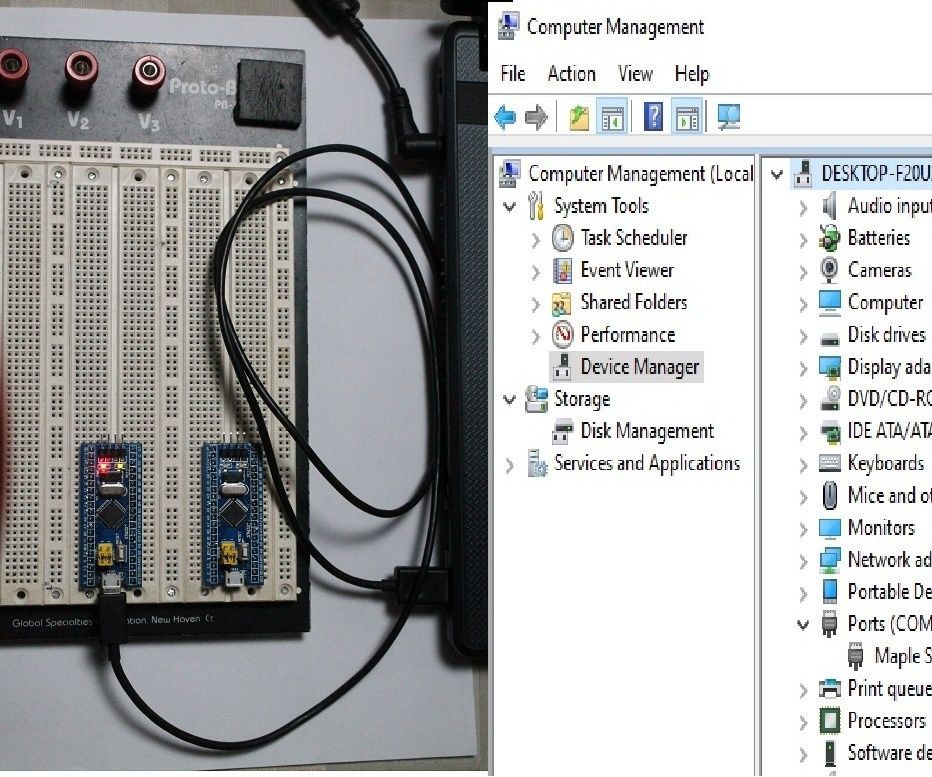 STM32 "Blue Pill" Progmaming Via Arduino IDE & USB