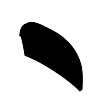 download {{ file.name }}