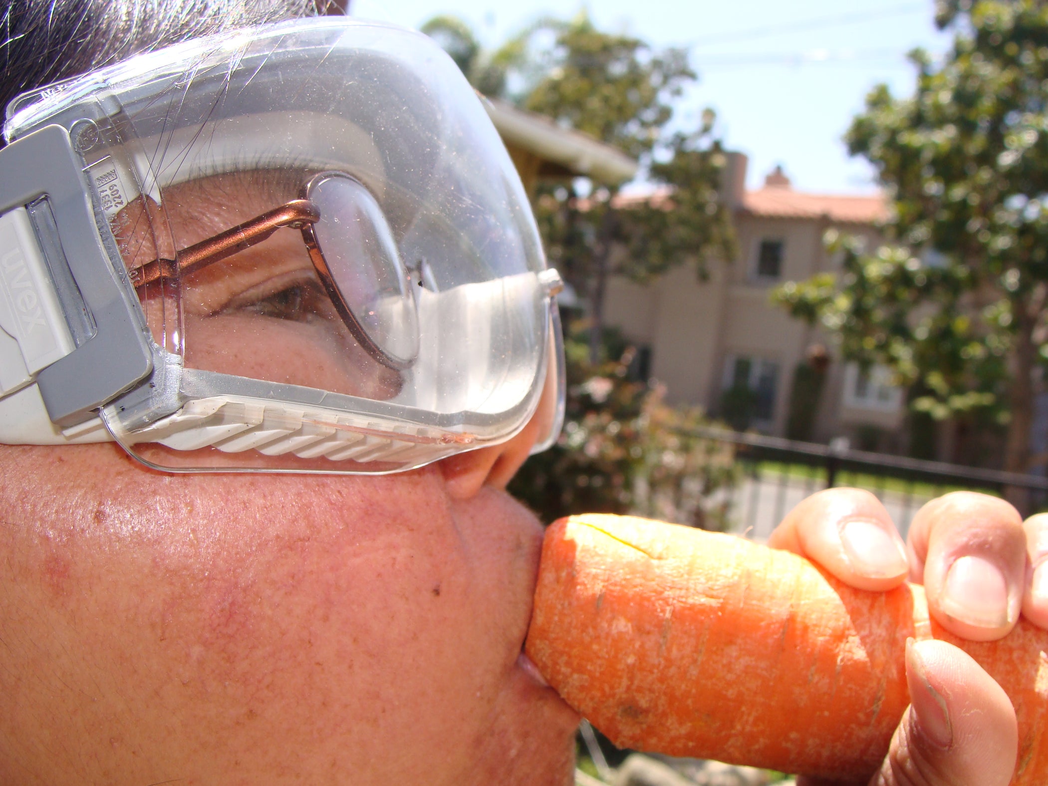 When You Can't Find Your Harmonica Carrot Flute 7 Steps (with