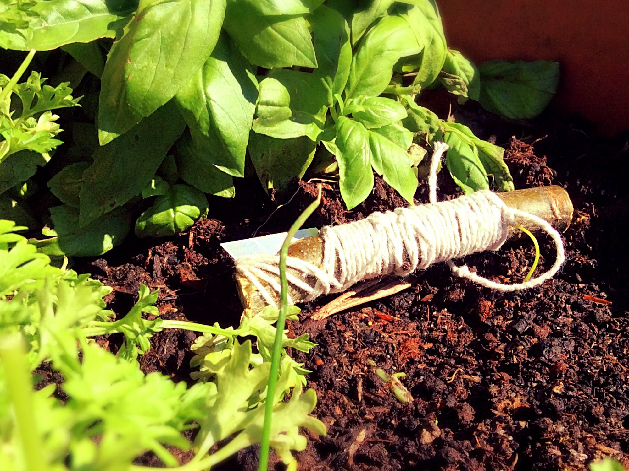 Razor Blade Survival Knife