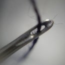 Ultimate Phone Camera Hack.... Increase Zoom by Almost 10x