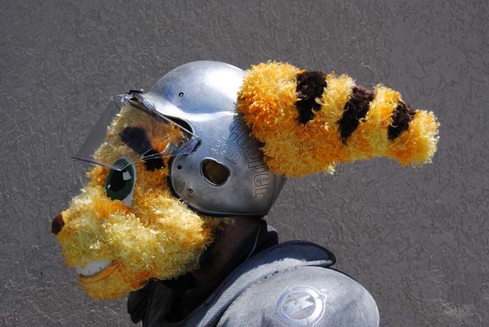 Collection Cover Image: Mascot Costumes