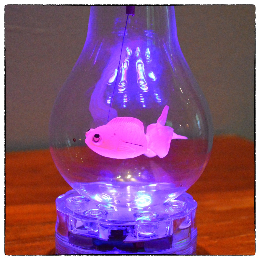 Goldfish in a Light Globe 9 Steps (with Pictures) Instructables