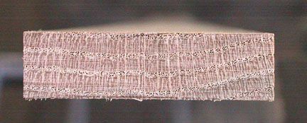 Cutting Rib Blanks