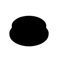 download {{ file.name }}