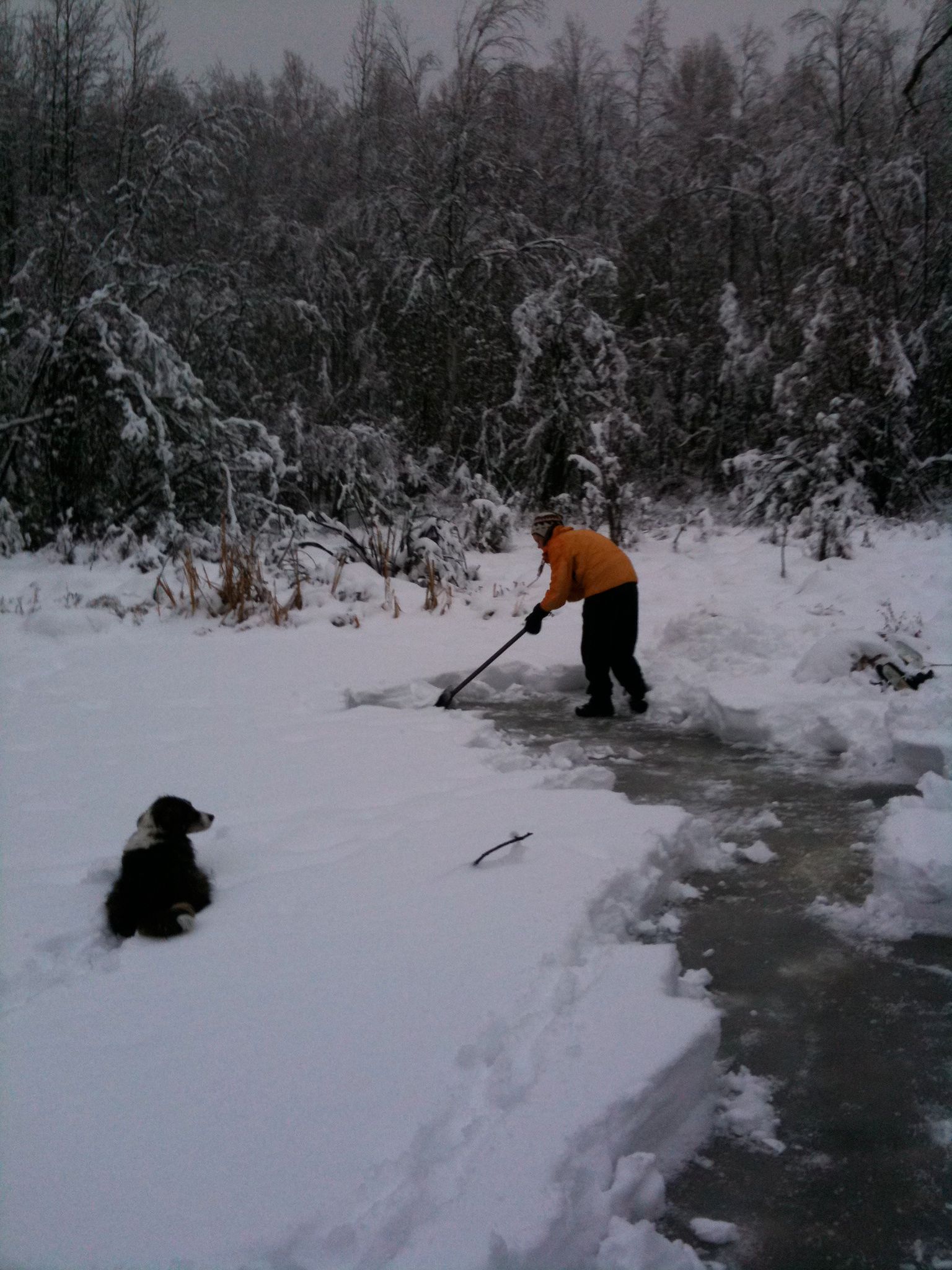 Ice Skating on a Pond