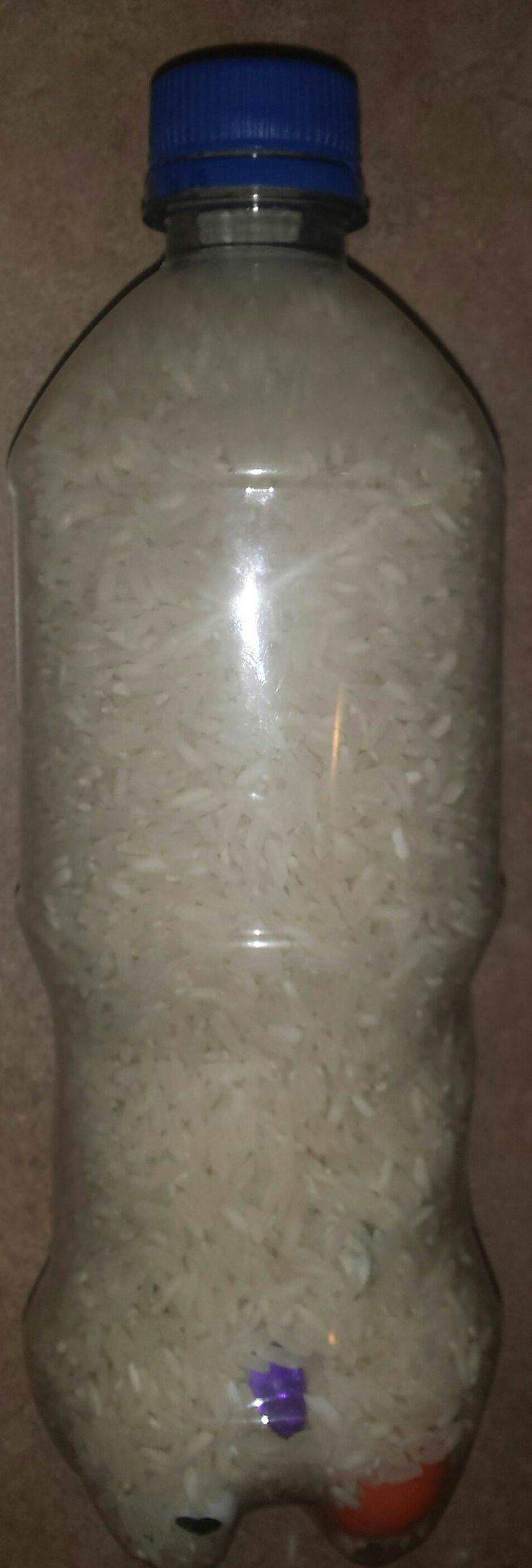 treasure hunt in a bottle