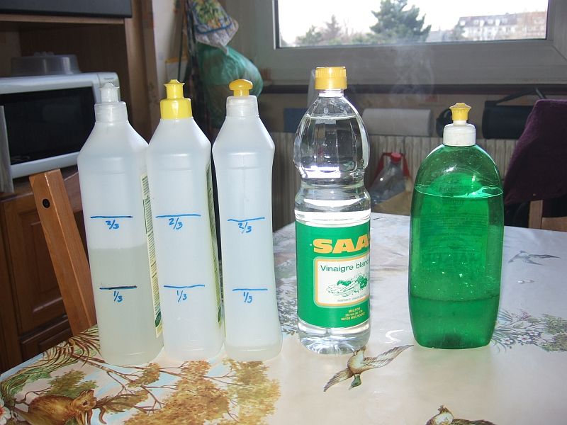 Cheap and Ecologically Sound Dish Washing Liquid