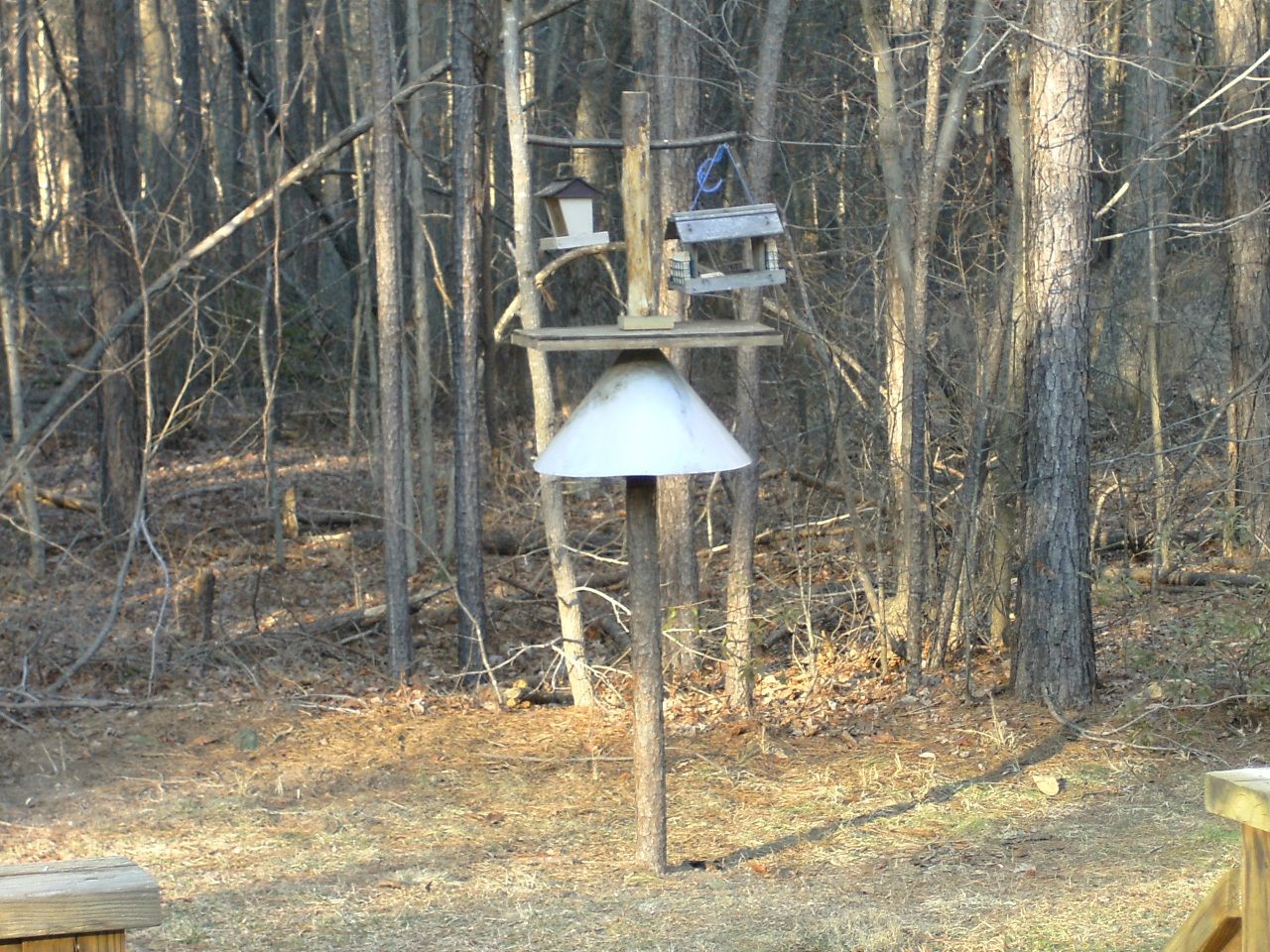 Bird Feeding Station With Squirrel Baffle