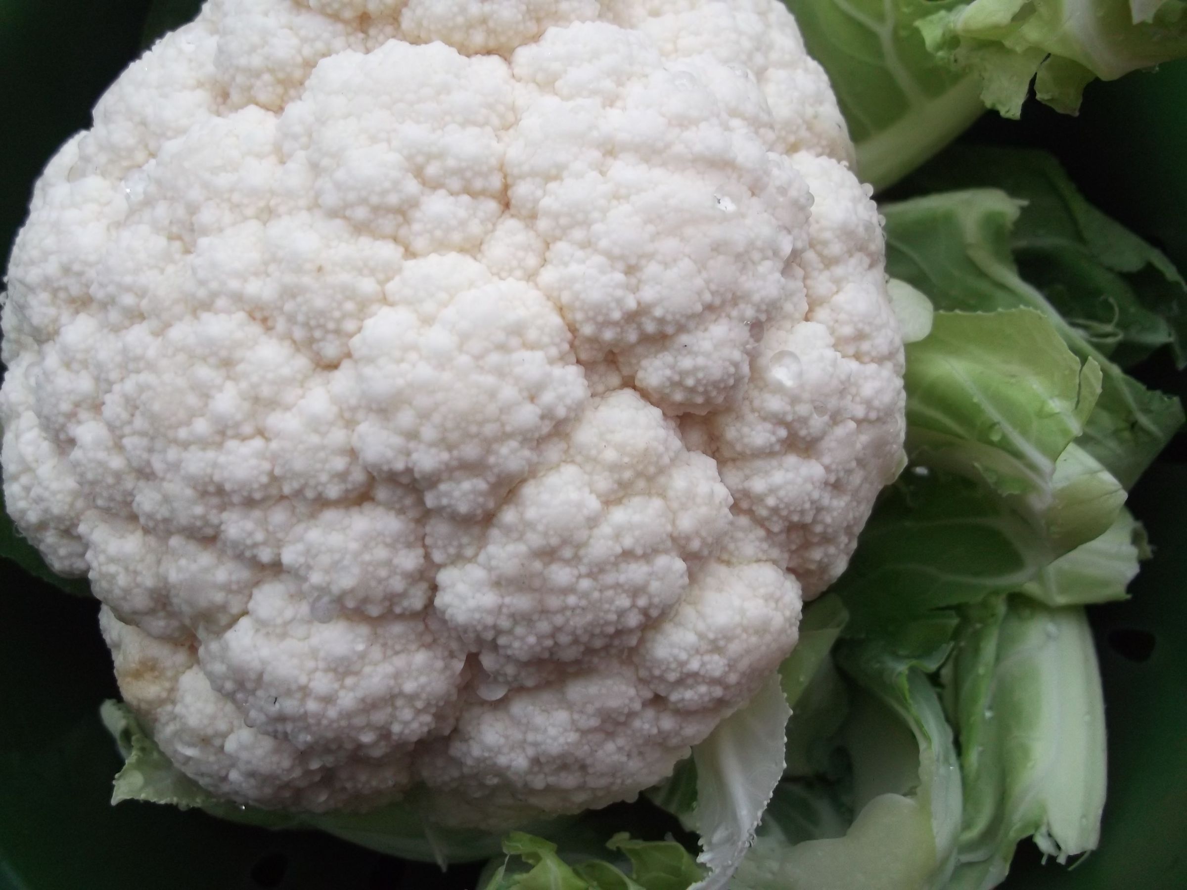 Delicious Cauliflower and Stilton Cheese Soup 4 Steps Instructables