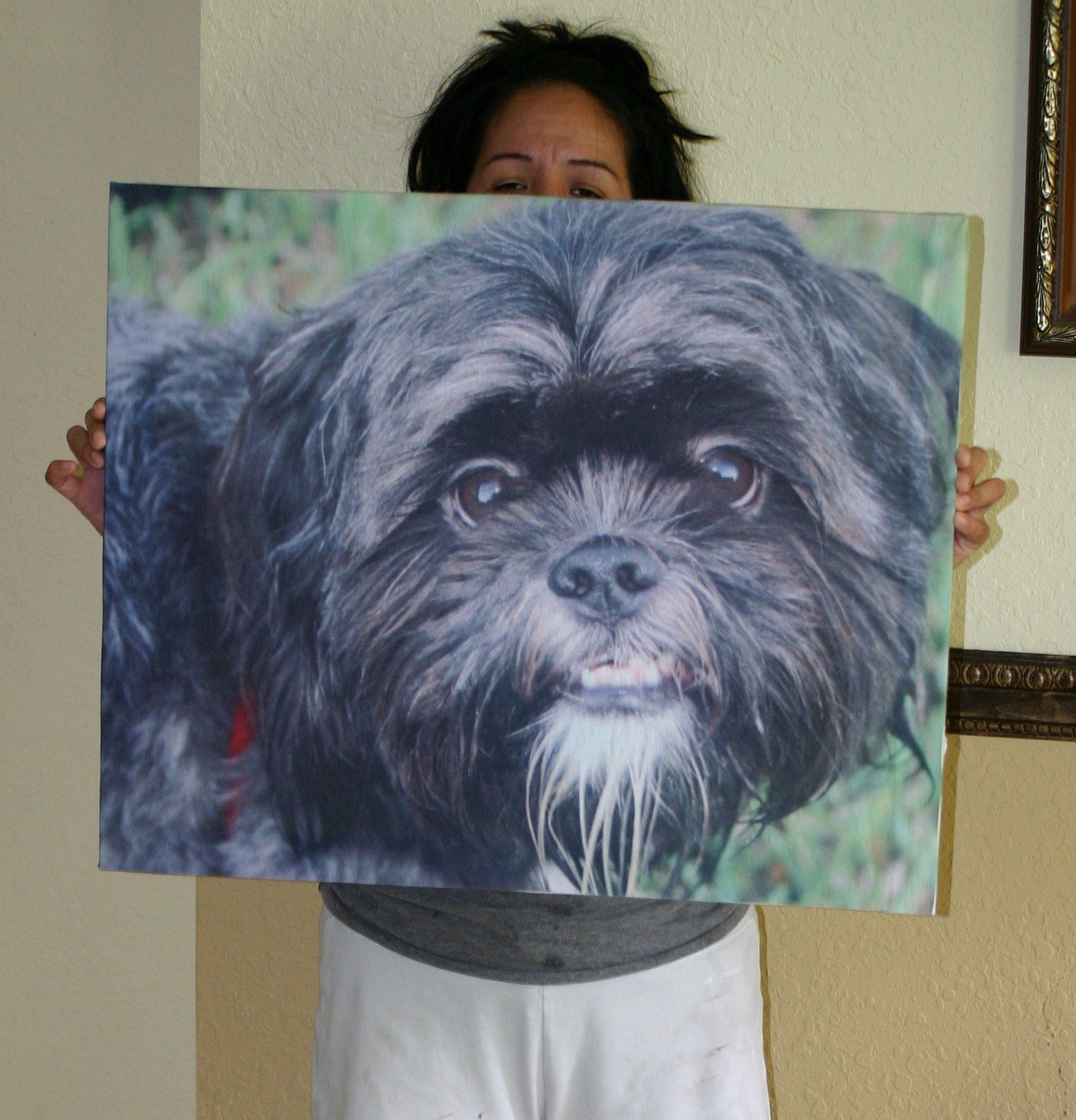 20" X 30" Canvas Style Pet Photo
