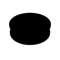 download {{ file.name }}