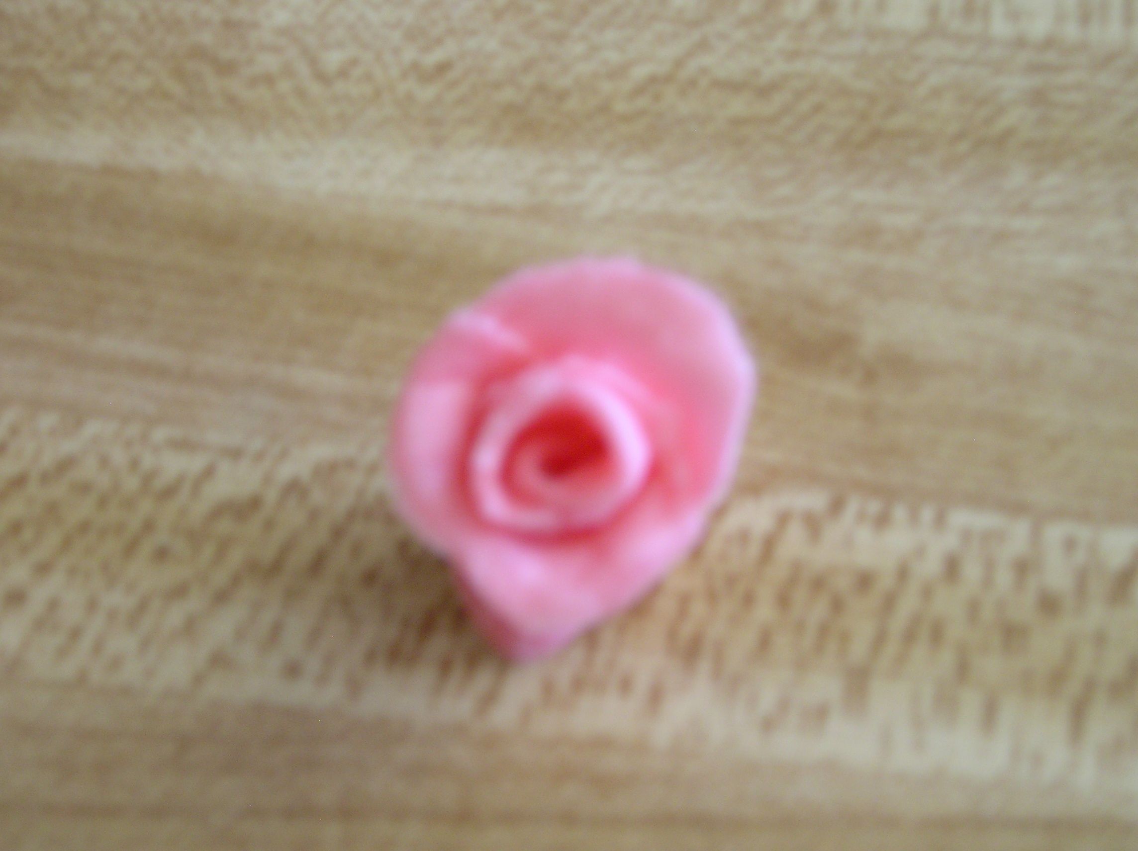 Starburst Rose