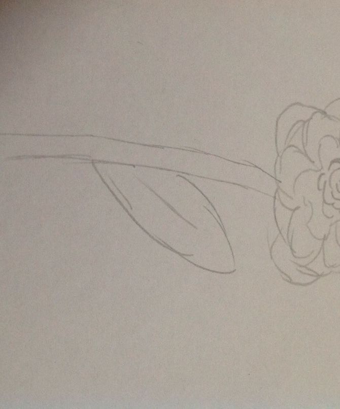 Beautiful Flower Drawing (beginners)