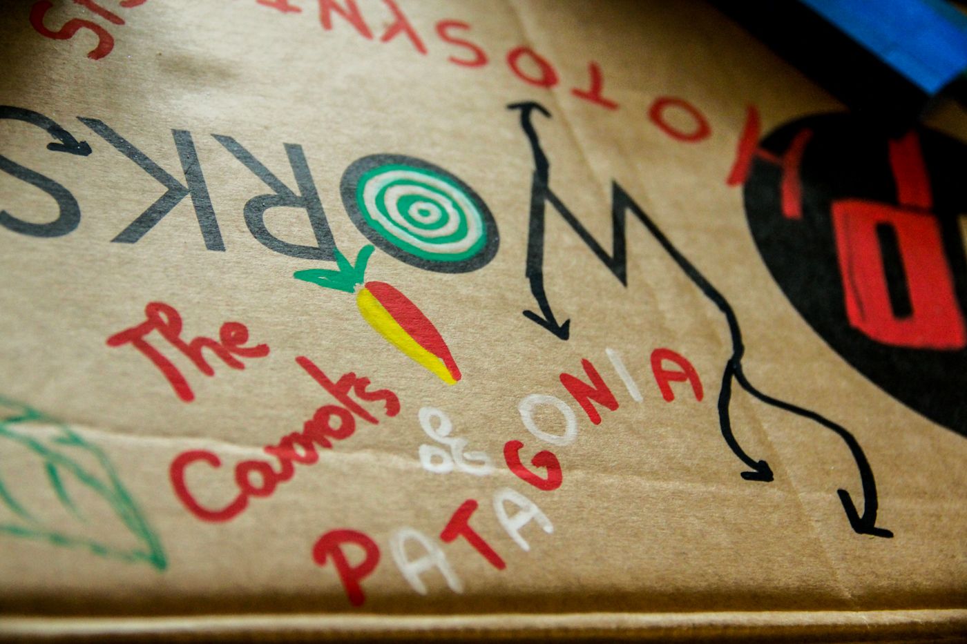 Useful Technical Tips to Build a Rube Goldberg Machine : Deconstructing Photosynthesis