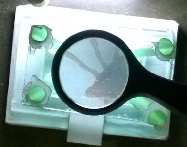 Recycled Glass Microscope : 11 Steps - Instructables