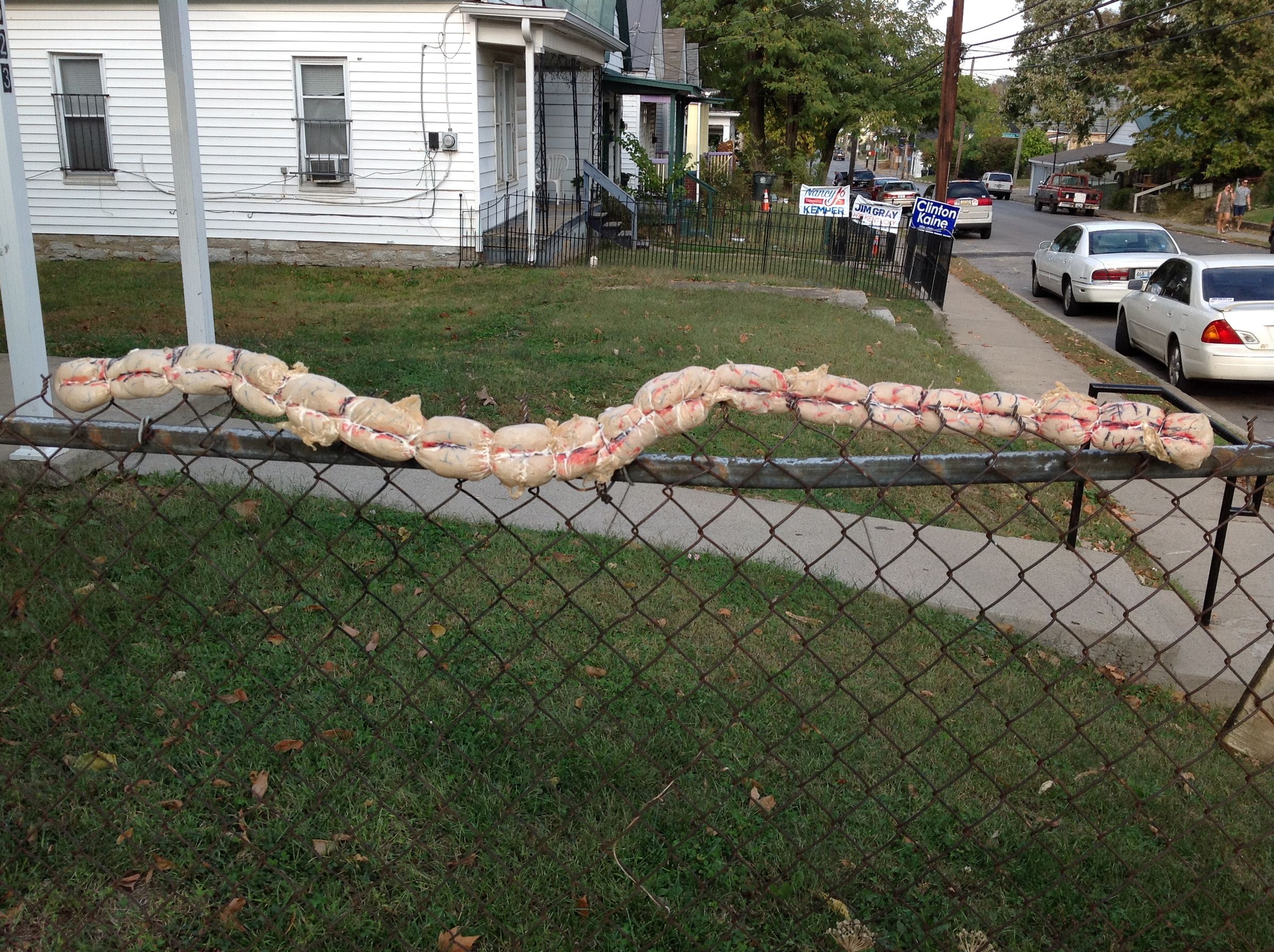 Fake Intestines 7 Steps (with Pictures) Instructables