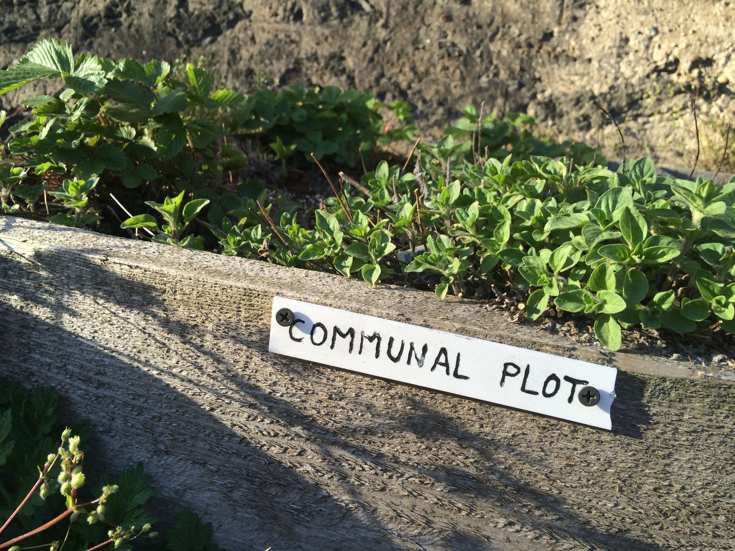 Build a Community Garden 8 Steps (with Pictures) Instructables